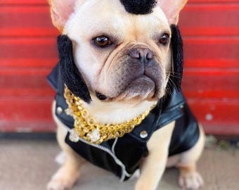 Frohawk for Cats and Dogs