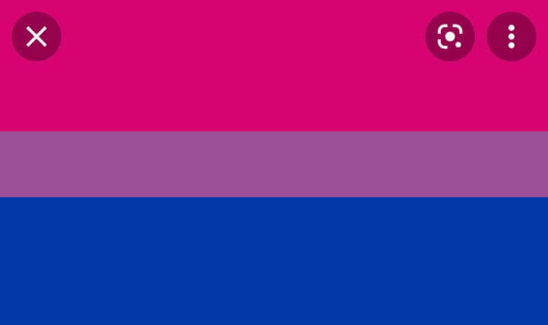 Bisexual Flag mohawk image 1