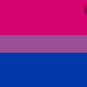 May include: The bisexual pride flag features three horizontal stripes. The top stripe is hot pink, the middle stripe is lavender, and the bottom stripe is blue. The flag is a symbol of the bisexual community.