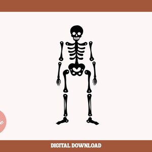 SVG - Esqueleto de Halloween svg - halloween svg - caveira simples svg - esqueleto simples svg - esqueleto svg - corpo de esqueleto svg - camiseta svg assustadora