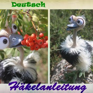 May include: A crocheted amigurumi ostrich with large, googly eyes. The ostrich is standing in a grassy area and has a black and white feathered body. The text "Deutsch Häkelanleitung" is visible at the bottom of the image.
