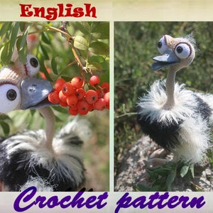 May include: Crochet pattern for a cute, cartoon-like ostrich with large, googly eyes. The ostrich is standing on a rock with green grass and plants in the background. The ostrich is white with black feathers around its neck.