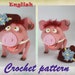 see more listings in the Crochet patterns English section