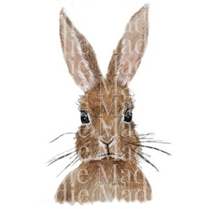 Hand Painted Bunny PNG Sublimation