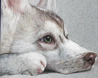 CUSTOM Pet/Animal Drawings