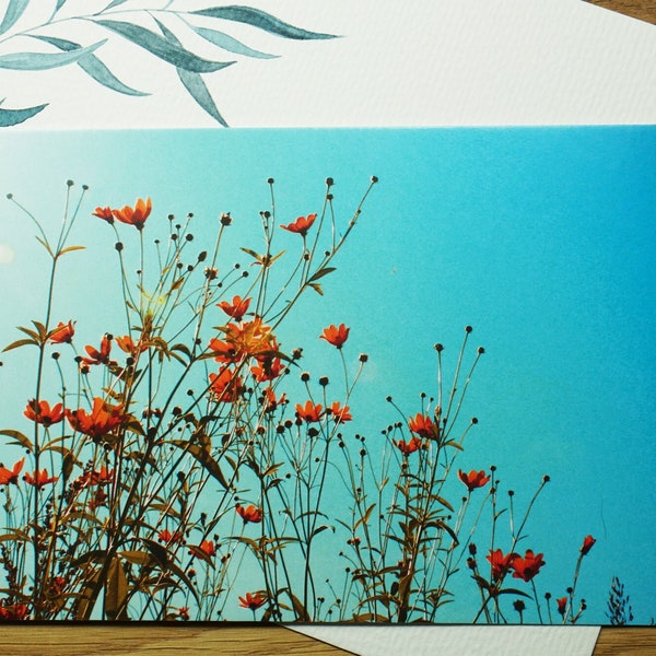 Postkarte rote Blüten FOTO P01