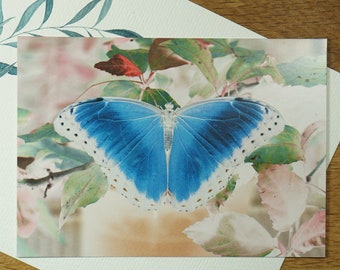 Postkarte blauer Schmetterling FOTO P16