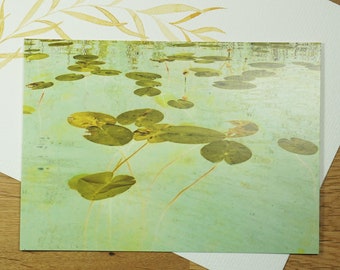 Postcard Water Lily Sheets PHOTO P10