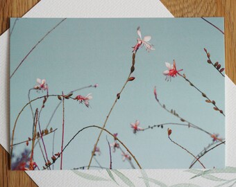 Postcard Flower Stem PHOTO P35