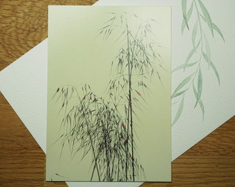 Postcard delicate grasses PHOTO P15