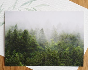 Postcard cloud forest PHOTO P33