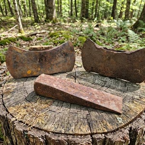 May include: Three rusty metal tools, including two axes and a wedge, rest on a weathered tree stump. The axes have curved blades, and the wedge is rectangular. The tools are brown and show signs of age.