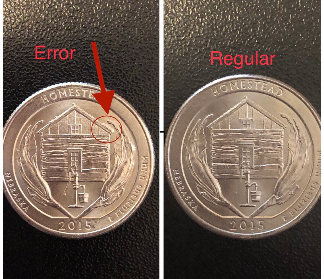 Error 2015 Nebraska Quarter Etsy
