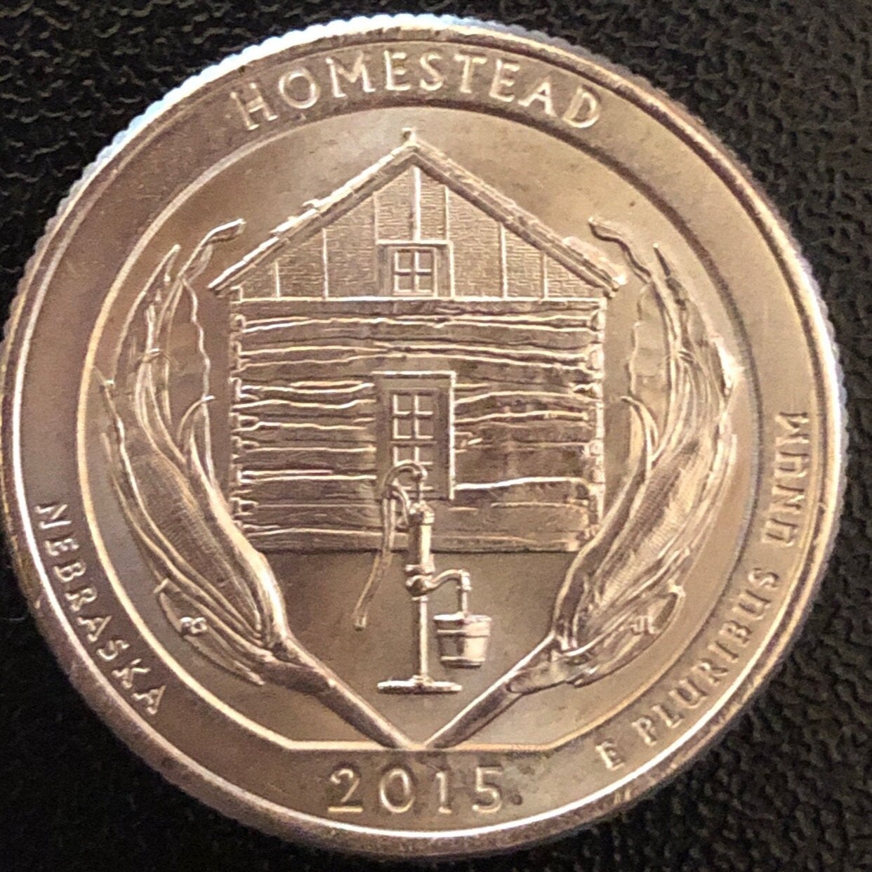Error 2015 Nebraska Quarter Etsy