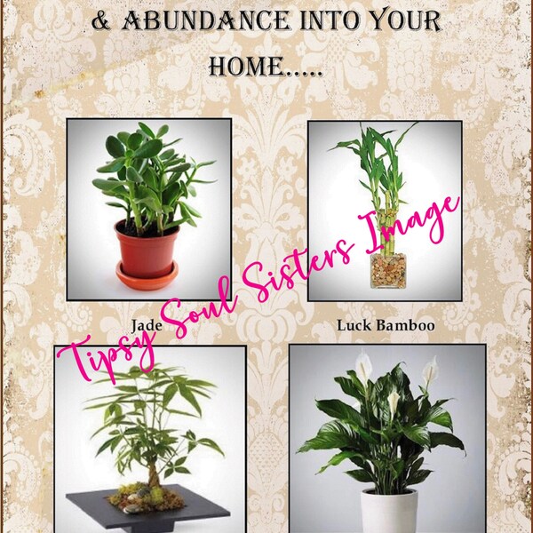 Wealth and Abundance Plants Sublimation Graphic Design/Image/Grimoire Page/Instant Download 1-300 dpi JPG, PNG & GIF Tipsy Soul Sisters