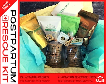 2 Week Supply POSTPARTUM BREASTFEEDING GIFT| New Mom Gift Lactation Cookies| Maternity Tea| Breastfeeding Smoothie| Nursing Mocha Cocoa