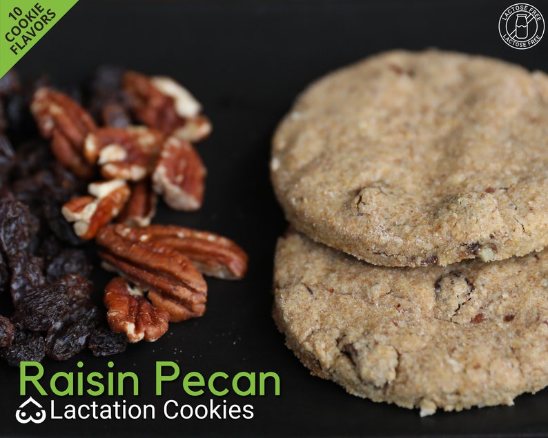 Raisin Pecan 18 LACTATION COOKIES Dairyfree Breastfeeding Etsy