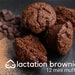 see more listings in the Lactation Brownies section