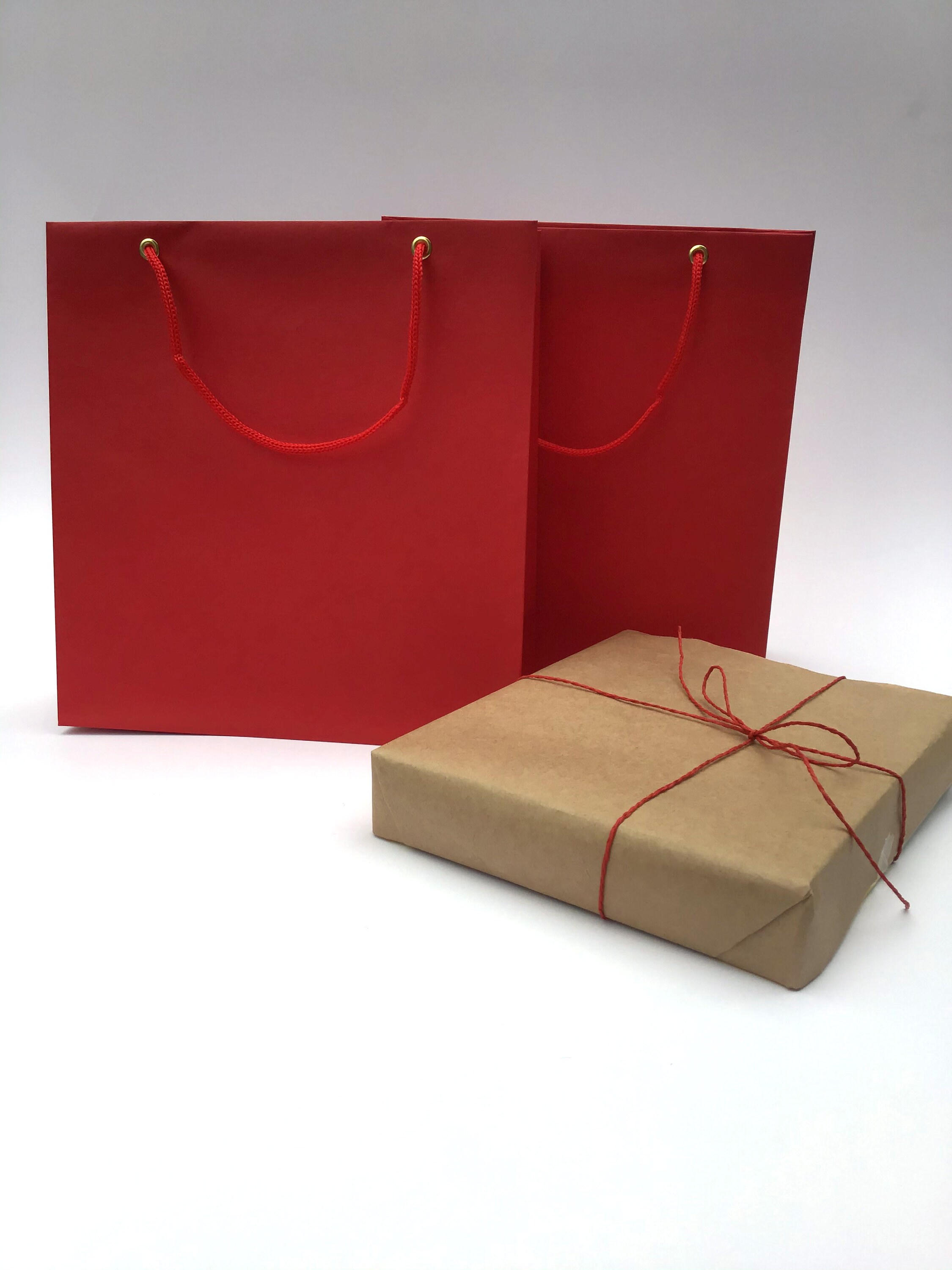 10 red paper bags with rope handles Medium Paper Party Bags Etsy