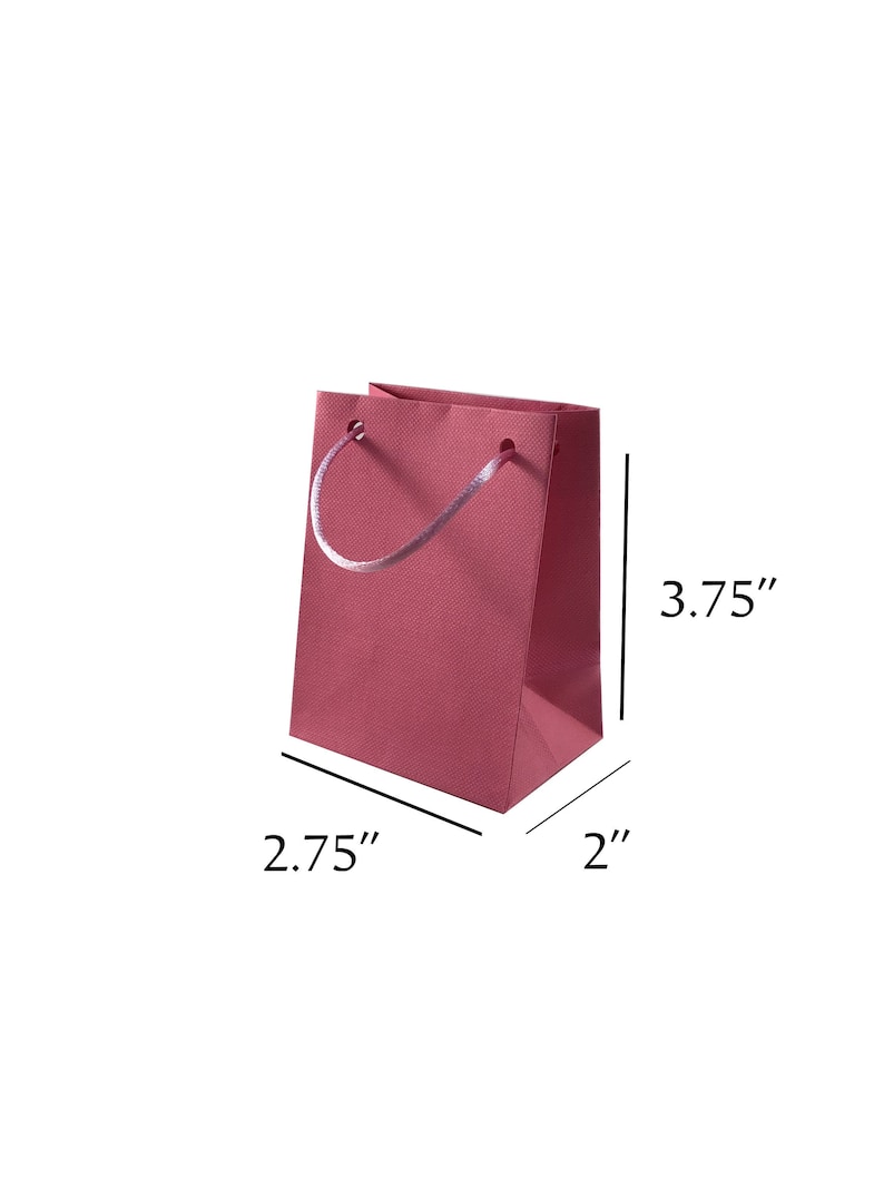 May include: A small, pink gift bag with white rope handles. The bag measures 3.75 inches tall, 2.75 inches wide, and 2 inches deep.