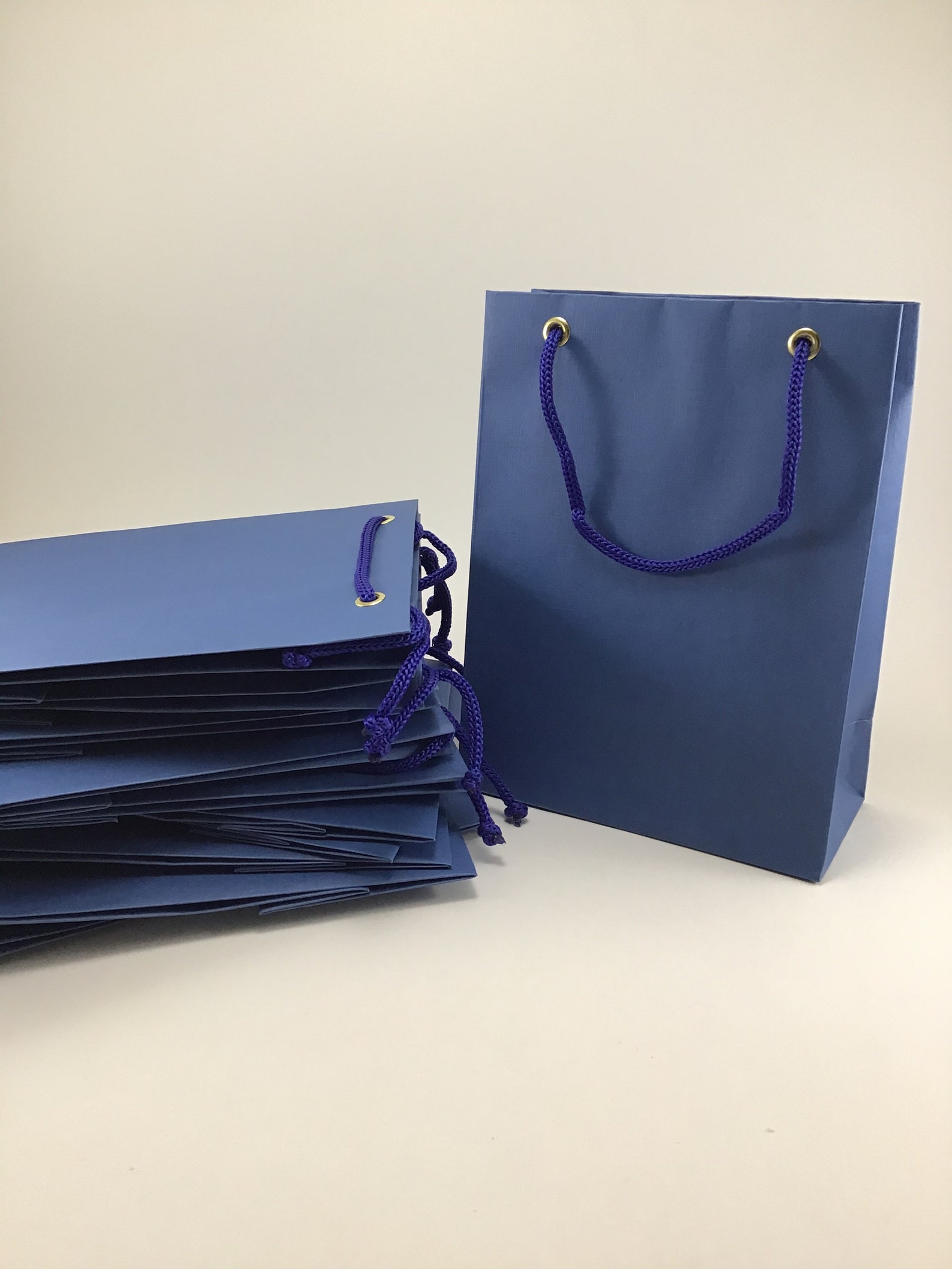 10 Blue Classic Gift Bags Matte Paper Party Favor Etsy