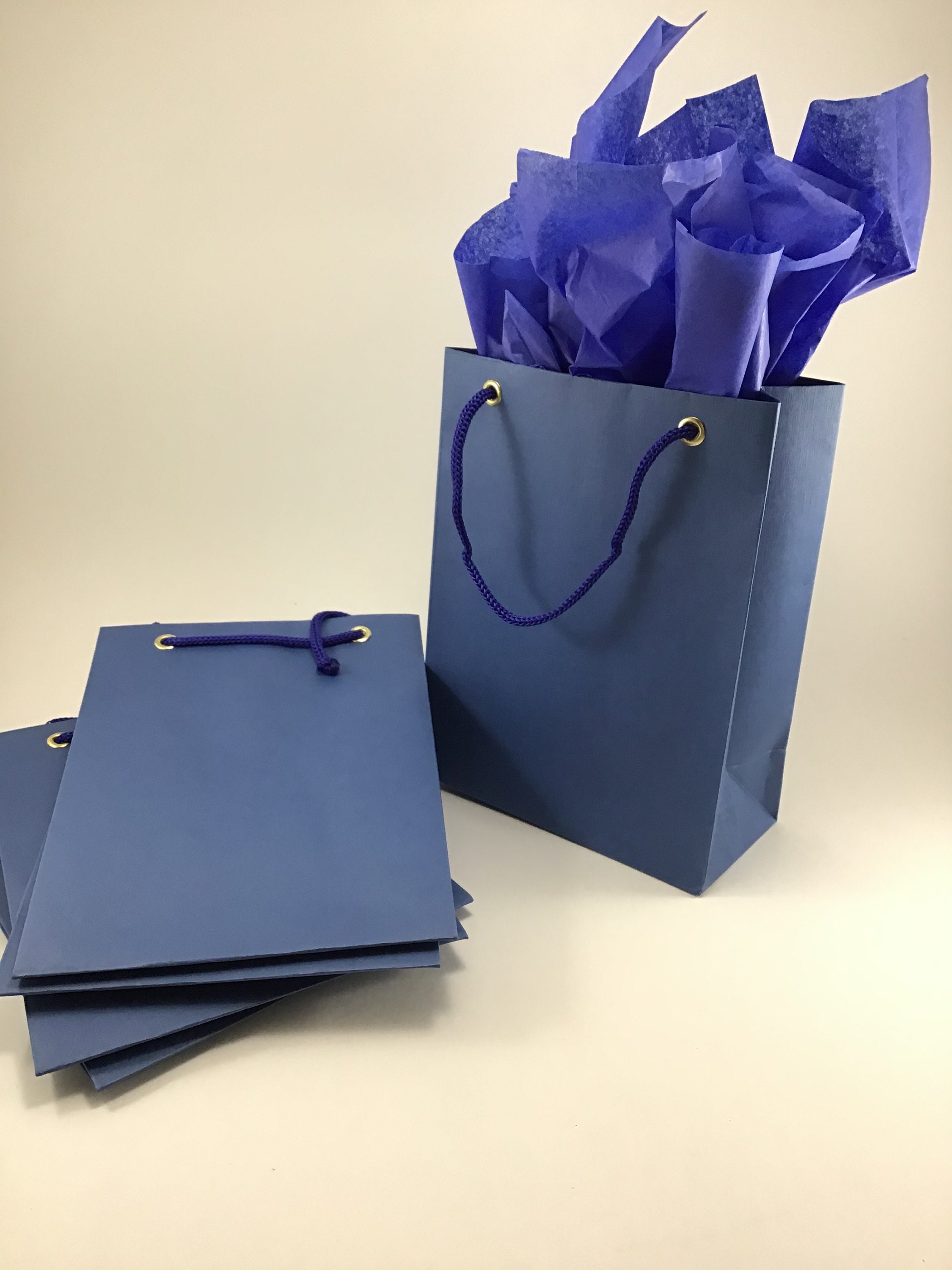 10 Blue Classic Gift Bags Matte Paper Party Favor Etsy