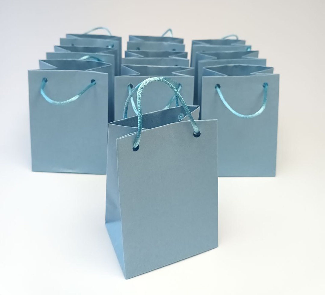Light Blue Paper Gift Bag Small, Chic & Perfect for Gifts, Birthdays