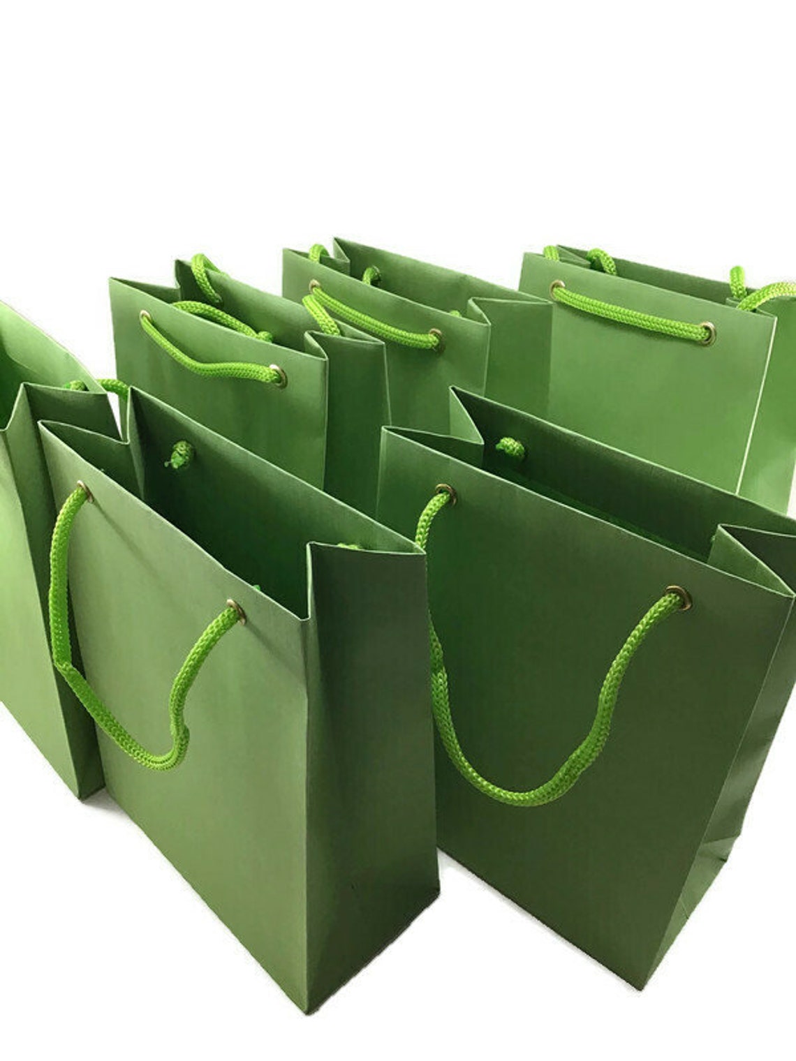 10 Apple Green Gift Bags Small Matte Paper bag with rope Etsy