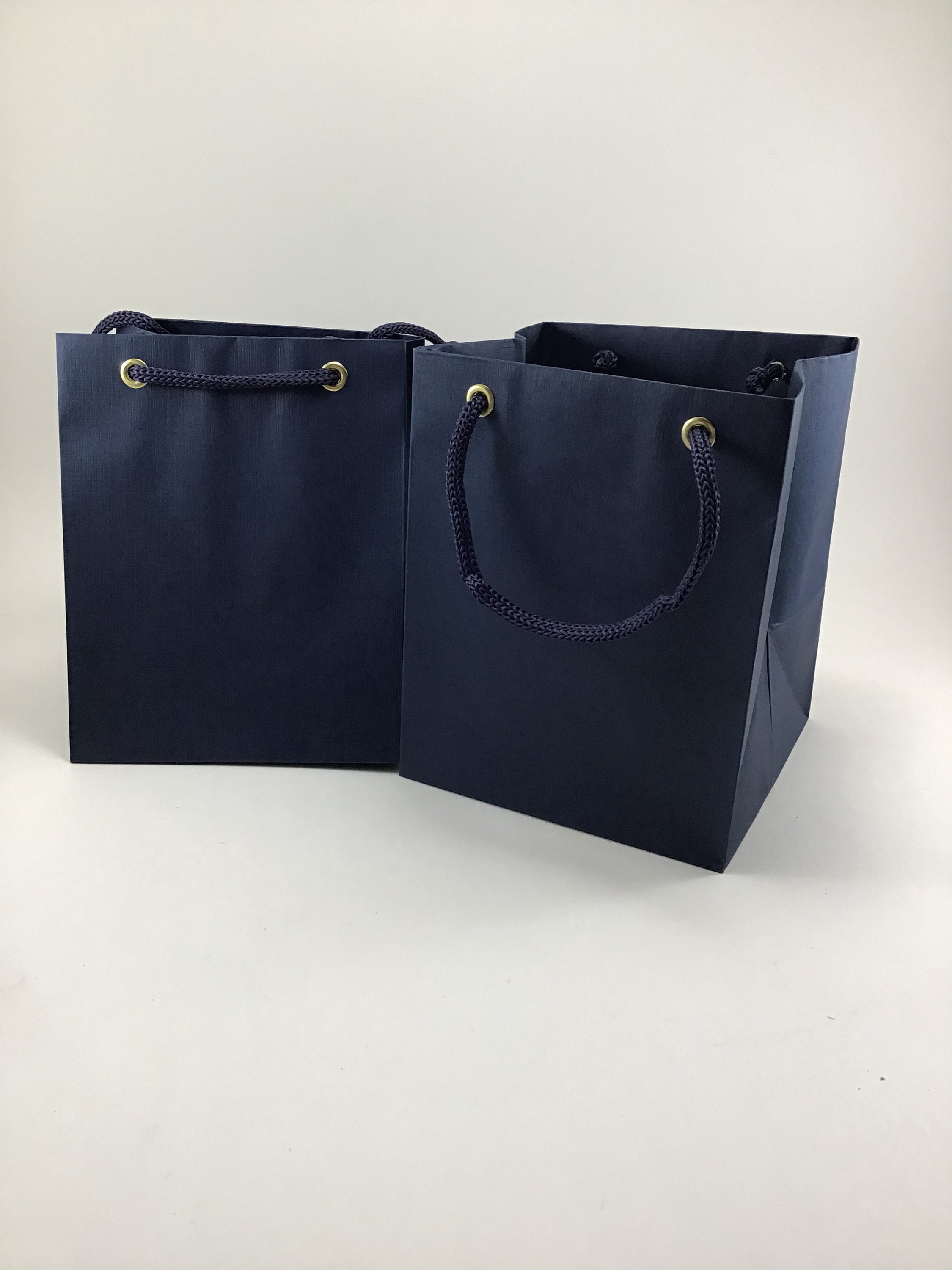 Set of 10 Blue Gift Bags Matte Paper Party Favor Bags Etsy