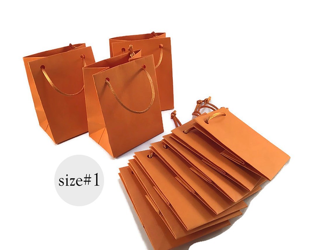 Set of 10 Orange Mini Paper bag with rope handles Matte Paper Etsy