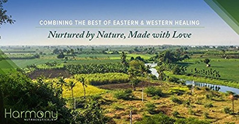 K&ouml;nnte beinhalten: Eine gr&uuml;ne, &uuml;ppige Landschaft mit einem Fluss, der sich durch sie schl&auml;ngelt. Der Text "COMBINING THE BEST OF EASTERN & WESTERN HEALING" und "Nurtured by Nature, Made with Love" wird auf dem Bild angezeigt. Der Text "Harmony" wird am unteren Rand des Bildes angezeigt.