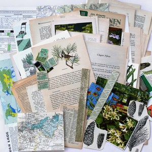 EPHEMERA with GREEN 50+ Set Book Pages Photos Postcards JunkJournal MixedMedia Collage Paper Art Decoration Flowers Leaves