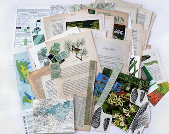 EPHEMERA mit GRÜN 50+ Set BuchSeiten Fotos Postkarten JunkJournal MixedMedia Collage Papierkunst Deko Blumen Blätter