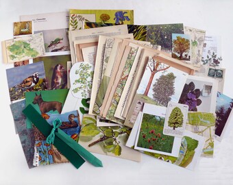 EPHEMERA with GREEN 60+ Set Book Pages Advertising Photos Drawings Junk Journal Mixed Media Collage Paper Art Decoration Flowers Leaves Birds VINTAGE