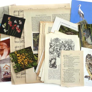 NATUR 60+Set Blumen Blätter Vögel EPHEMERA Papier JunkJOURNAL MixedMedia Scrapbook Collage Papierkunst Dekorationen Vintage ALT 1910-1960er