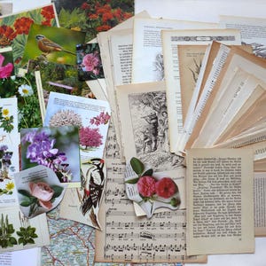 Blumig Braun+Alt EPHEMERA Blumen Blätter Vögel Junk+ MixedMedia Journal Scrapbook Papierkunst Dekorationen Basteln Vintage 1900/70er