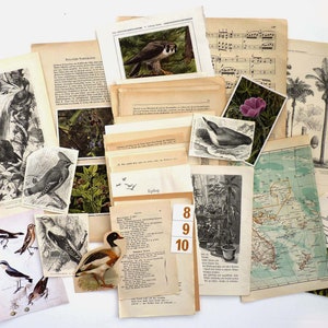 EPHEMERA+Pflanzen+Blumen+Vögel NATUR Junk+MixedMedia Journale Scrapbook Papierkunst Dekorationen Vintage 1900/70er alles alt