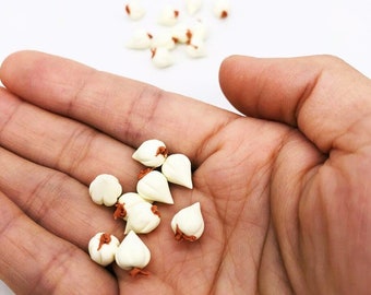 P067 Dollhouse Miniature Braided String of Garlic
