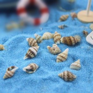 Miniatur Muschel (3 Set) Puppenhaus Miniaturen Puppenhaus Muschel Diorama Miniaturen Zubehör Puppenhaus Muscheln Wand Dekor Schmuck Dekor