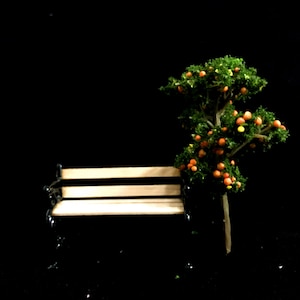 Miniatur Orangenbaum Miniatur Landschaft Miniaturen Miniaturen Miniaturen Miniaturen Miniaturen Miniaturen Miniaturen Miniaturen Fotorequisite