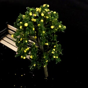 Miniatur Orangenbaum Miniatur Landschaft Miniaturen Miniaturen Miniaturen Miniaturen Miniaturen Miniaturen Miniaturen Miniaturen Fotorequisite