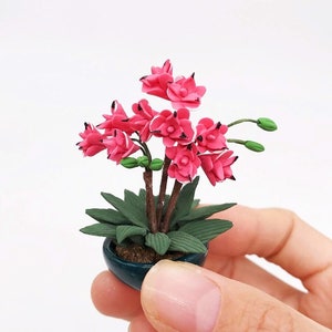 Miniatur schöne magnolie rose Topfpflanze Puppenhaus Miniaturen Puppenhaus Dekoration Puppenhaus Miniatur Kunst Handwerker Fotografie Requisiten