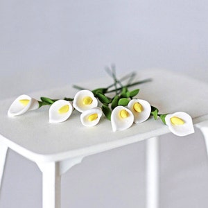 Miniatur Calla Blume (5 Stück) Puppenhaus Miniaturen Dekor Diorama miniatures Lieferungen Puppenhaus diy Blume kleine Blume Geschenk für sie