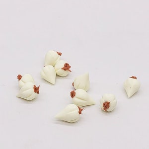 Miniature garlic(10pcs) Miniature food Miniature vegetable Dollhouse miniatures BJD doll food Dollhouse miniature artisan Photography props