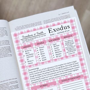 K&ouml;nnte beinhalten: Eine gedruckte Studienhilfe-Seite f&uuml;r das Buch Exodus mit einem rosa-wei&szlig; karierten Hintergrund. Sie enth&auml;lt Abschnitte mit den Titeln Freedom and Faith, Origins, People, Locations, Reflect, Summary, Stories und Notes and Thoughts.