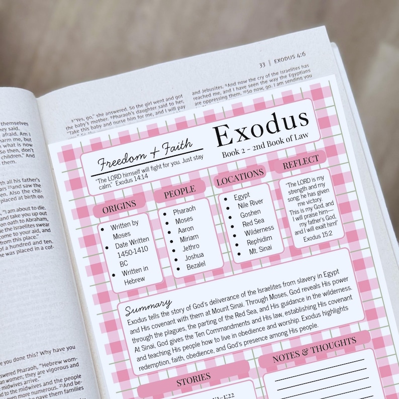 K&ouml;nnte beinhalten: Eine gedruckte Studienhilfe-Seite f&uuml;r das Buch Exodus mit einem rosa-wei&szlig; karierten Hintergrund. Sie enth&auml;lt Abschnitte mit den Titeln Freedom and Faith, Origins, People, Locations, Reflect, Summary, Stories und Notes and Thoughts.