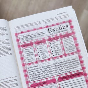 K&ouml;nnte beinhalten: Eine aufgeschlagene Buchseite mit einem gedruckten Studienf&uuml;hrer f&uuml;r das Buch Exodus. Der Text enth&auml;lt Abschnitte mit den Titeln Freedom + Faith, Origins, People, Locations, Reflect, Summary, Stories und Notes & Thoughts, die alle rosa markiert sind.