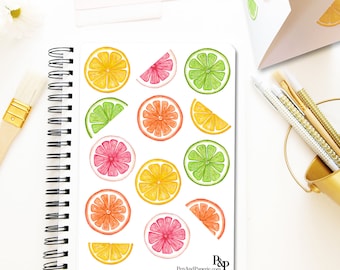 Citrus Stickers Party Decor Citrus Planner Stickers Orange Stickers Lime Stickers Lemon Stickers Grapefruit Stickers Summer Party Decor