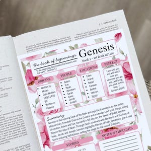K&ouml;nnte beinhalten: Ein wei&szlig;es, informatives Studienblatt f&uuml;r das Buch Genesis mit rosa Blumenakzenten. Der Text enth&auml;lt Abschnitte f&uuml;r Urspr&uuml;nge, Personen, Orte, Reflexion, Zusammenfassung, Geschichten sowie Notizen und Gedanken mit verschiedenen &Uuml;berschriften.