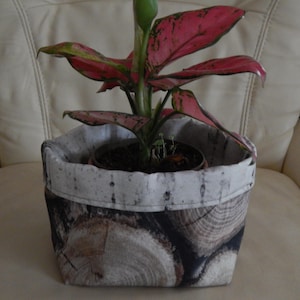 Peut inclure: Une plante en pot aux feuilles roses et vertes vibrantes est placée dans un pot en tissu. Le pot présente un motif de coupes transversales de bois. Le bord du pot est blanc avec des mouchetures noires.
